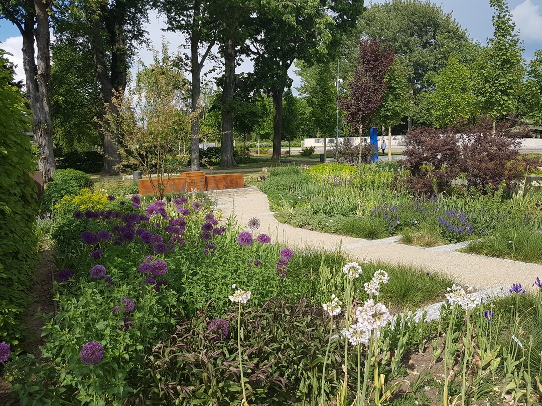 Die Schaugrten waren in der Qualitt recht unterschiedlich. Zu den Highlights gehrte sicherlich der Stauden- und Geophyten-reiche Garten von Jann Weinreich und Jolanda van Amerom.