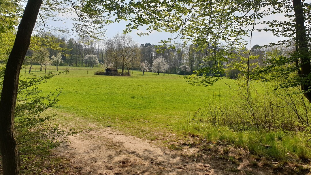 Die Bodenfeuchte im April 2020 ist ungewhnlich niedrig