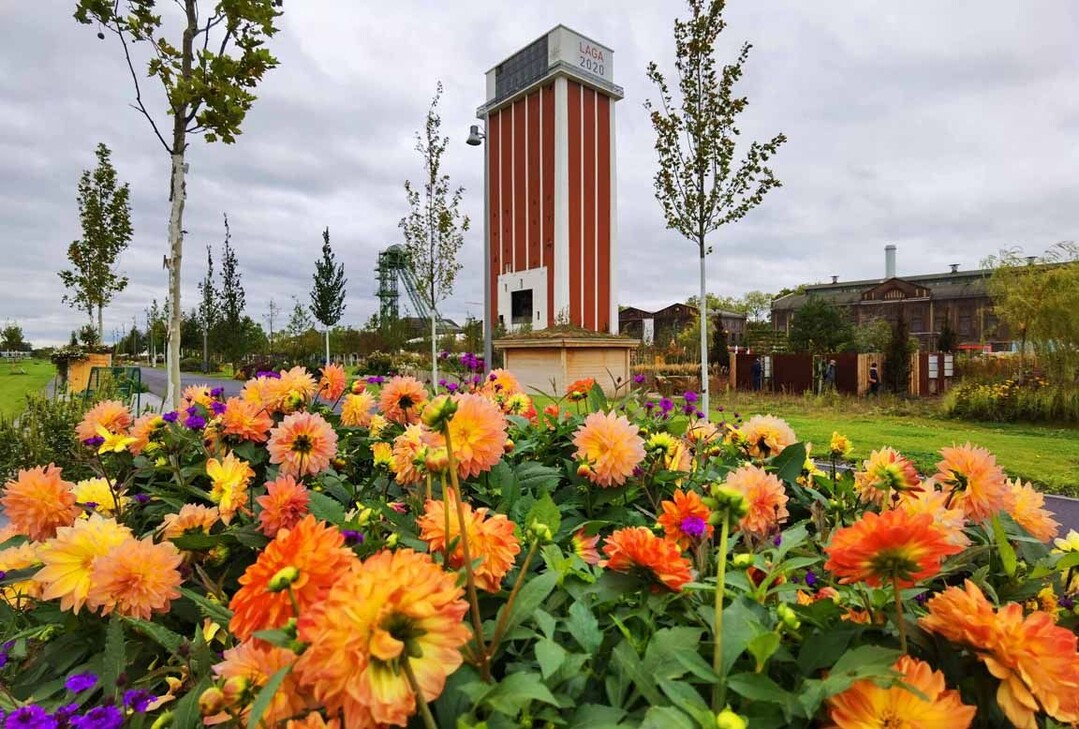 Das ehemalige Bergwerk West ist durch die Landesgartenschau eine blühende Parklandschaft geworden.