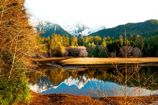 Vorherrschende Sitka-Fichte und Rot-Erle am Starrigavan River: hier M�ndung und Berg Harbor im Hintergrund im Tongass National Forest nahe Sitka, Alaska, USA