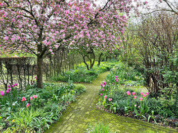 Ziergehölze tragen zu einer üppigen Frühlingsblüte im Garten De Beukenhof bei.