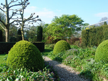 Immer häufiger wünschen sich Gartenbesitzende Wege, die nicht nur schön, sondern auch ökologisch sinnvoll sind.