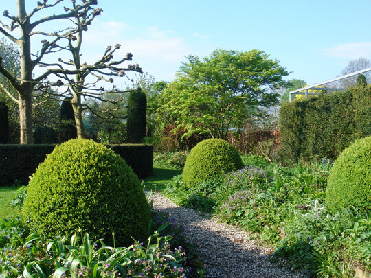 Immer häufiger wünschen sich Gartenbesitzende Wege, die nicht nur schön, sondern auch ökologisch sinnvoll sind.