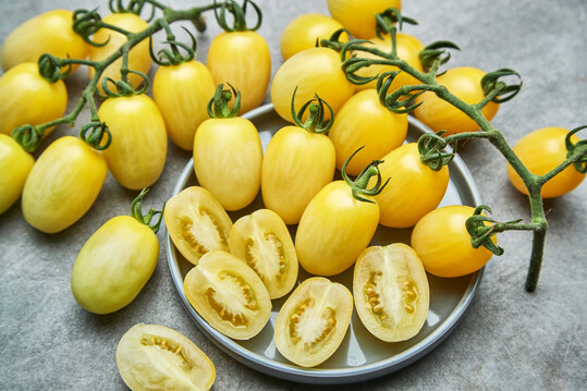 Tomate ‘Moonshine’ überrascht mit gelben Früchten – für die Tomatenernte bis in den Herbst