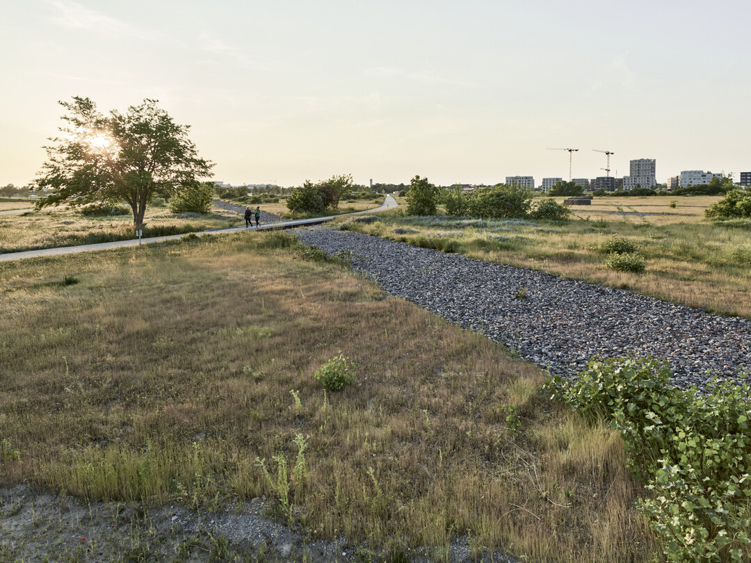 Grünzug Nordost in Mannheim: Ausblick über den Klimapark<br>