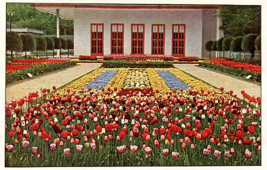 Schmuckanlage auf der Dresdner Ausstellung (Velhagen & Klasings Monatshefte 1926)