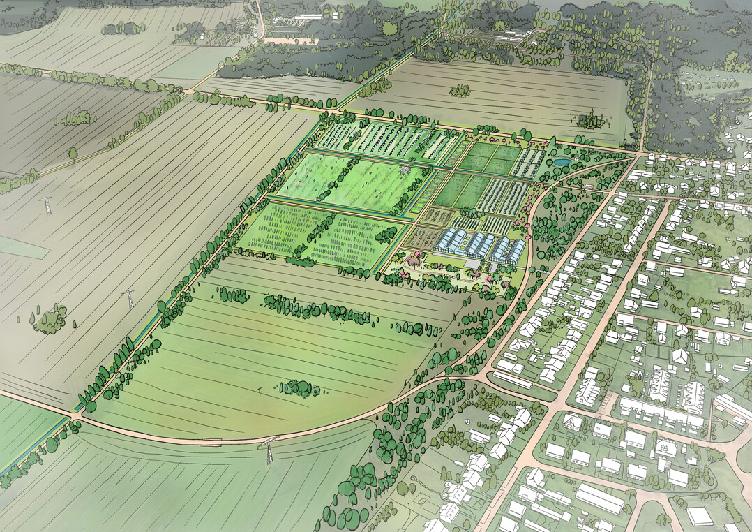 Entwicklungskonzept Die Neue Branitzer Baumuniversitt in Cottbus von Fugmann Janotta Partner  Landschaftsplaner, Berlin