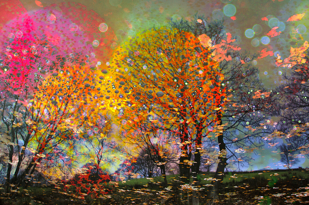 Siegerfoto Kategorie „Abstract Views“: „Autumn Flurry“ von Ian Gilmour