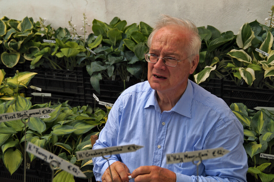 Dr. Ullrich Fischer inmitten seiner Hostas