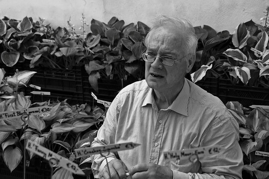 Ullrich Fischer inmitten einer Hosta-Sammlung