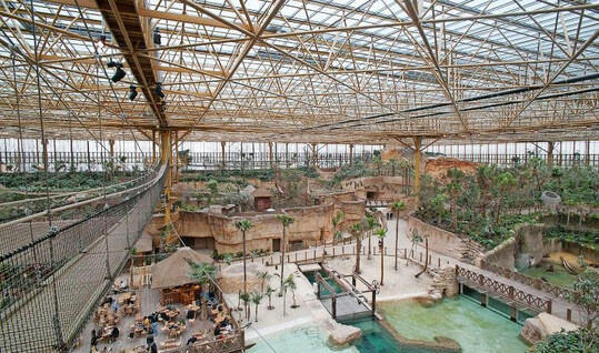 Das Gew�chshaus misst 196 Meter in der L�nge und 207 Meter in der Breite und umfasst eine Gesamtfl�che von 40.572 m�.