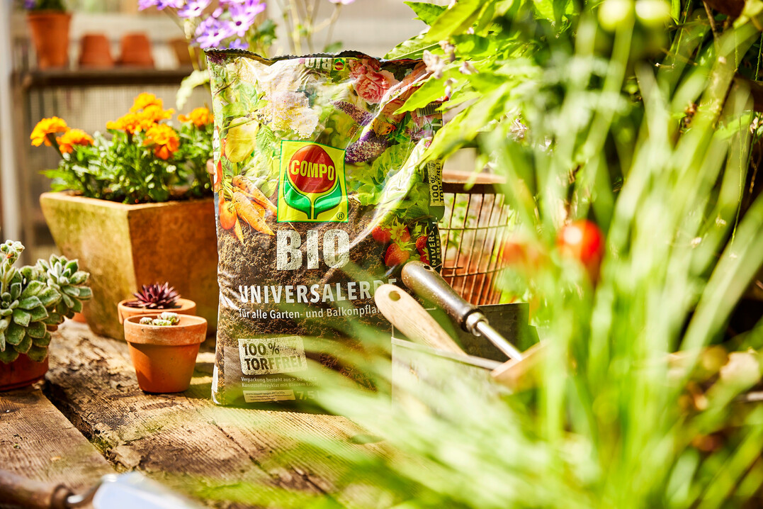 �Bio Universalerde� � torffreies Substrat von compo