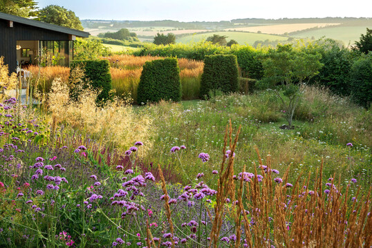 Der Blick von der Anh�he des Gartens reicht �ber die Wildblumenwiese und die drei quaderf�rmig geschnittenen Taxus baccata (Eibenhecken) bis weit in die umgebende Landschaft.