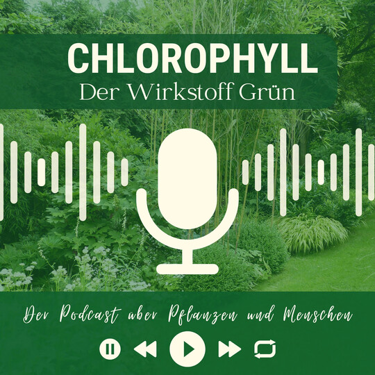 Der Podcast �Chlorophyll� spricht mit der gr�nen Szene. 
