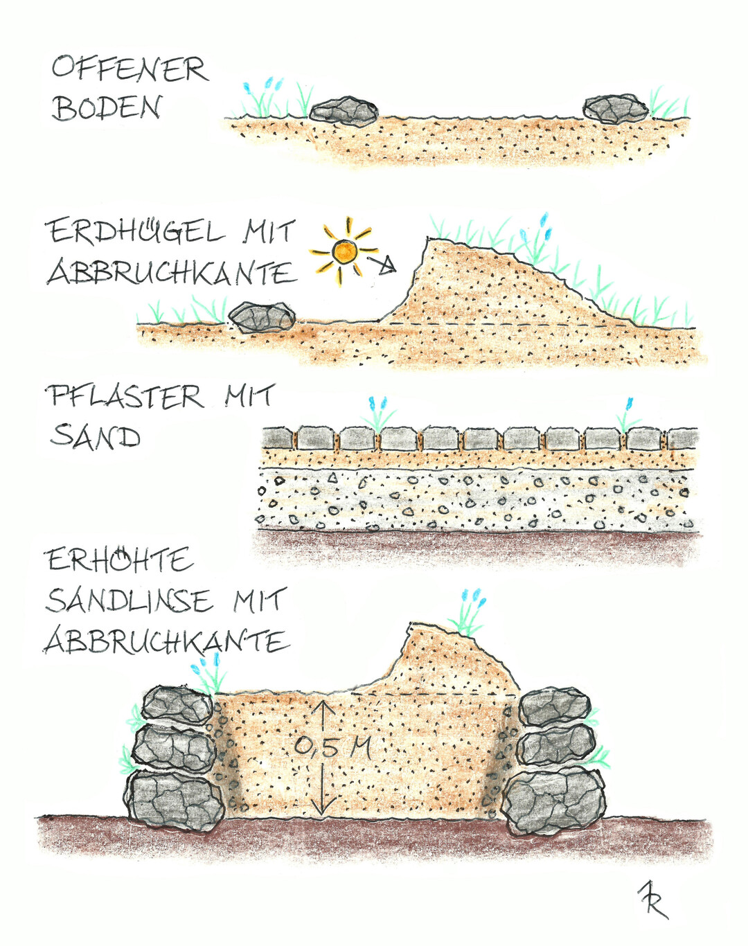Offene Bodenstrukturen f�r Wildbienen und andere Tiere im Querschnitt