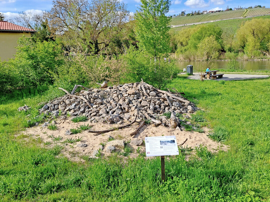 Lesestein-Totholz-Riegel mit Sandlinsen in W�rzburg