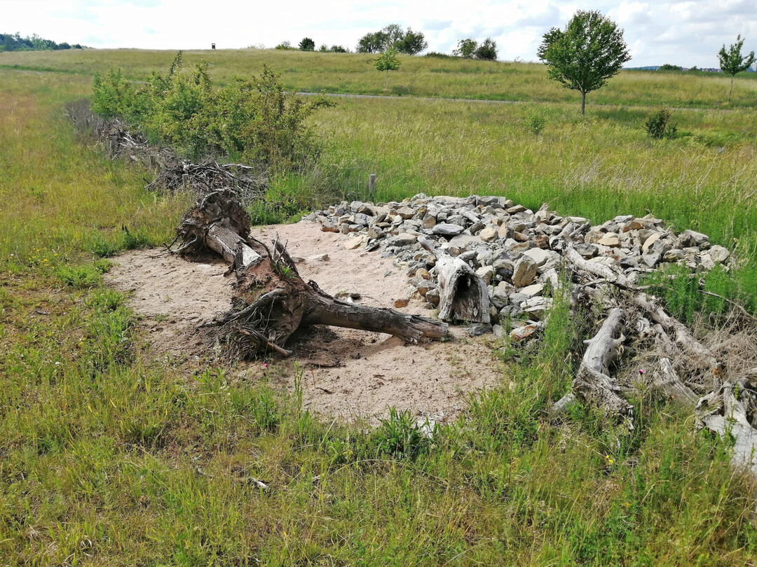 Lesestein-Totholz-Riegel mit Sandlinsen in W�rzburg