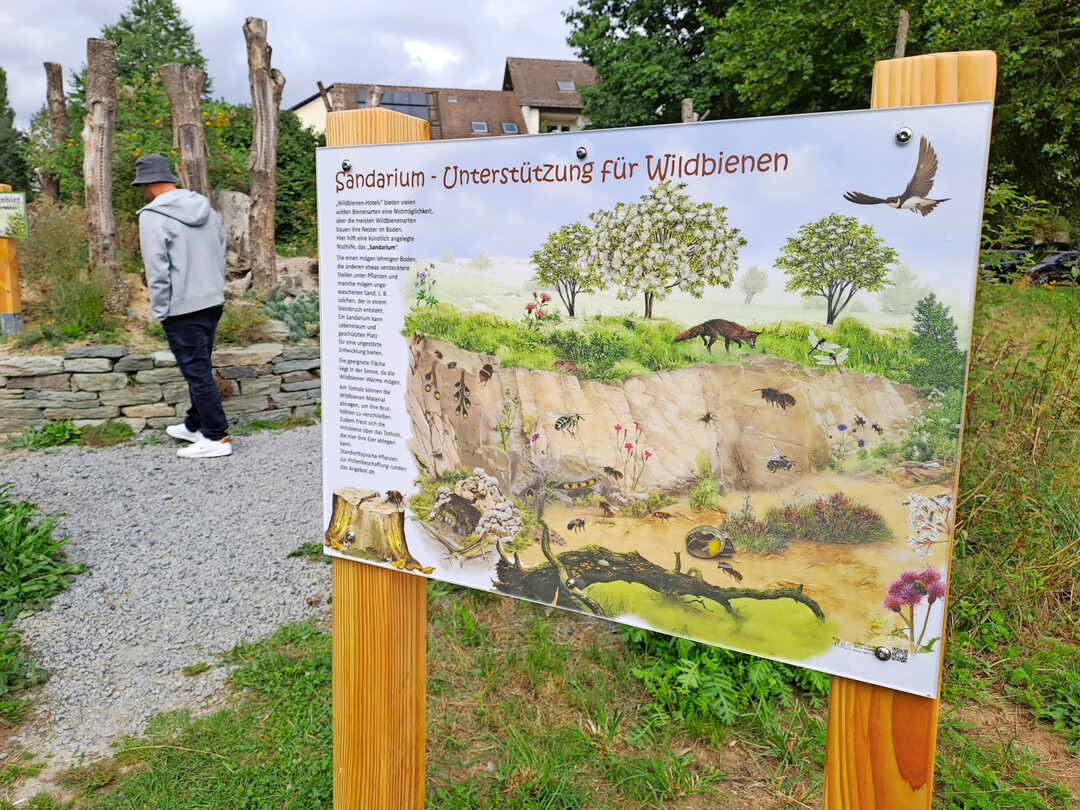Info-Tafel an einer Sandlinse in Kelkheim im Taunus