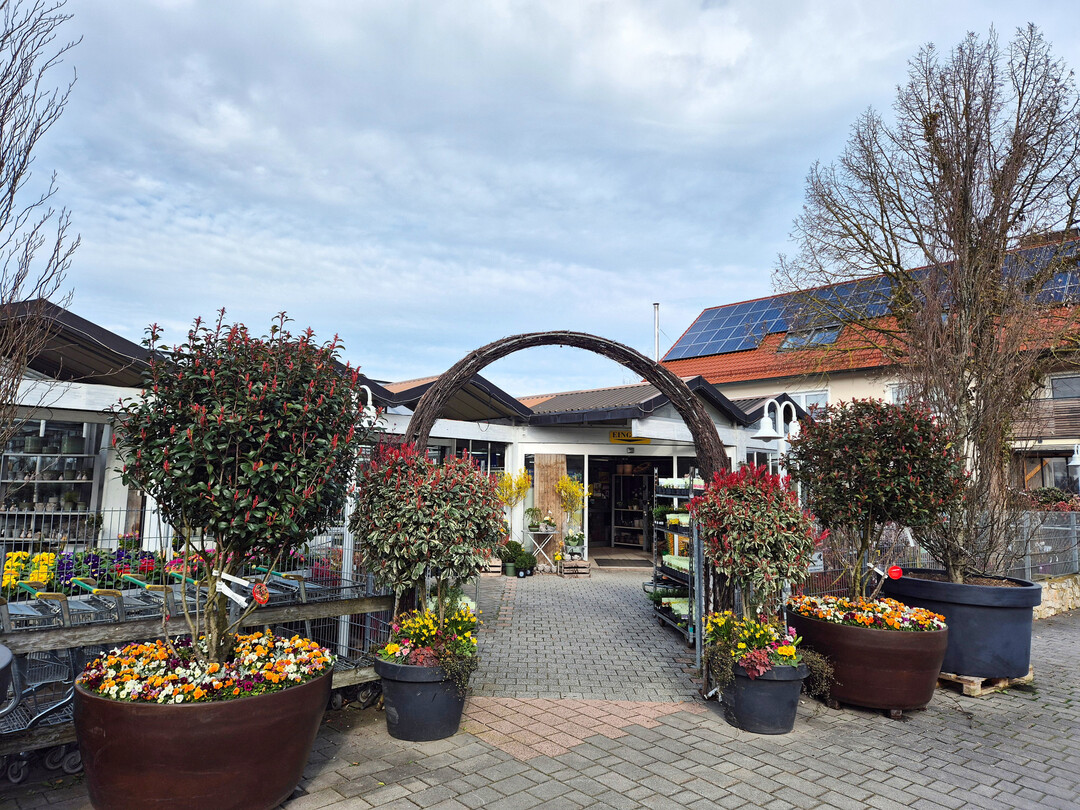 Freifl�che mit Verkauf im Eingangsbereich zur G�rtnerei Krippner mit teils selbst produzierten und weiterkultivierten Geh�lzen, Stauden und Sommerblumen sowie Gem�se und Kr�utern als Jungpflanzen