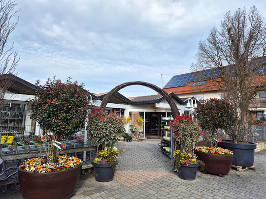 Freifl�che mit Verkauf im Eingangsbereich zur G�rtnerei Krippner mit teils selbst produzierten und weiterkultivierten Geh�lzen, Stauden und Sommerblumen sowie Gem�se und Kr�utern als Jungpflanzen