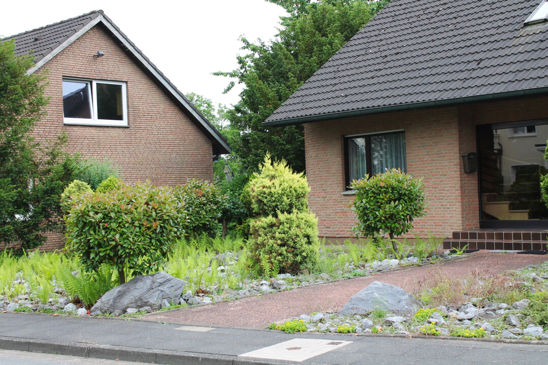 Laub, Samen und Staub bilden mit der Zeit eine Humusschicht auf dem Schotter, auf der sich unerw�nschter Bewuchs ansiedelt. Es ist m�hsam, diesen zu entfernen.