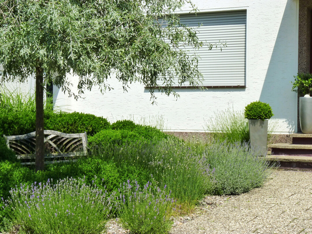 Nach Aufbereitung der geschotterten Fl�che, kann der Schotter auch weiterverwendet werden. Eine dichte Bepflanzung sch�tzt vor der Ansiedlung unerw�nschten Bewuchses. 