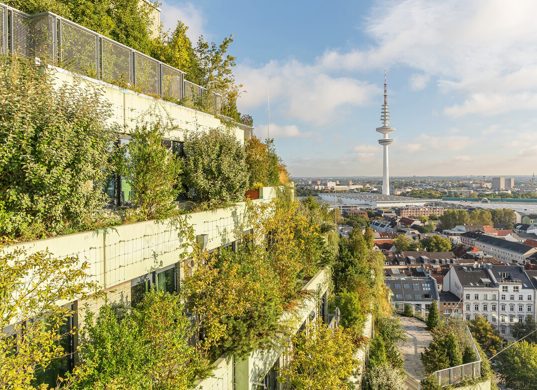 Der Gr�ne Bunker, St. Pauli, ist ein Exkursionsziel der Pflanzplaner:innen-Gespr�che 2026.