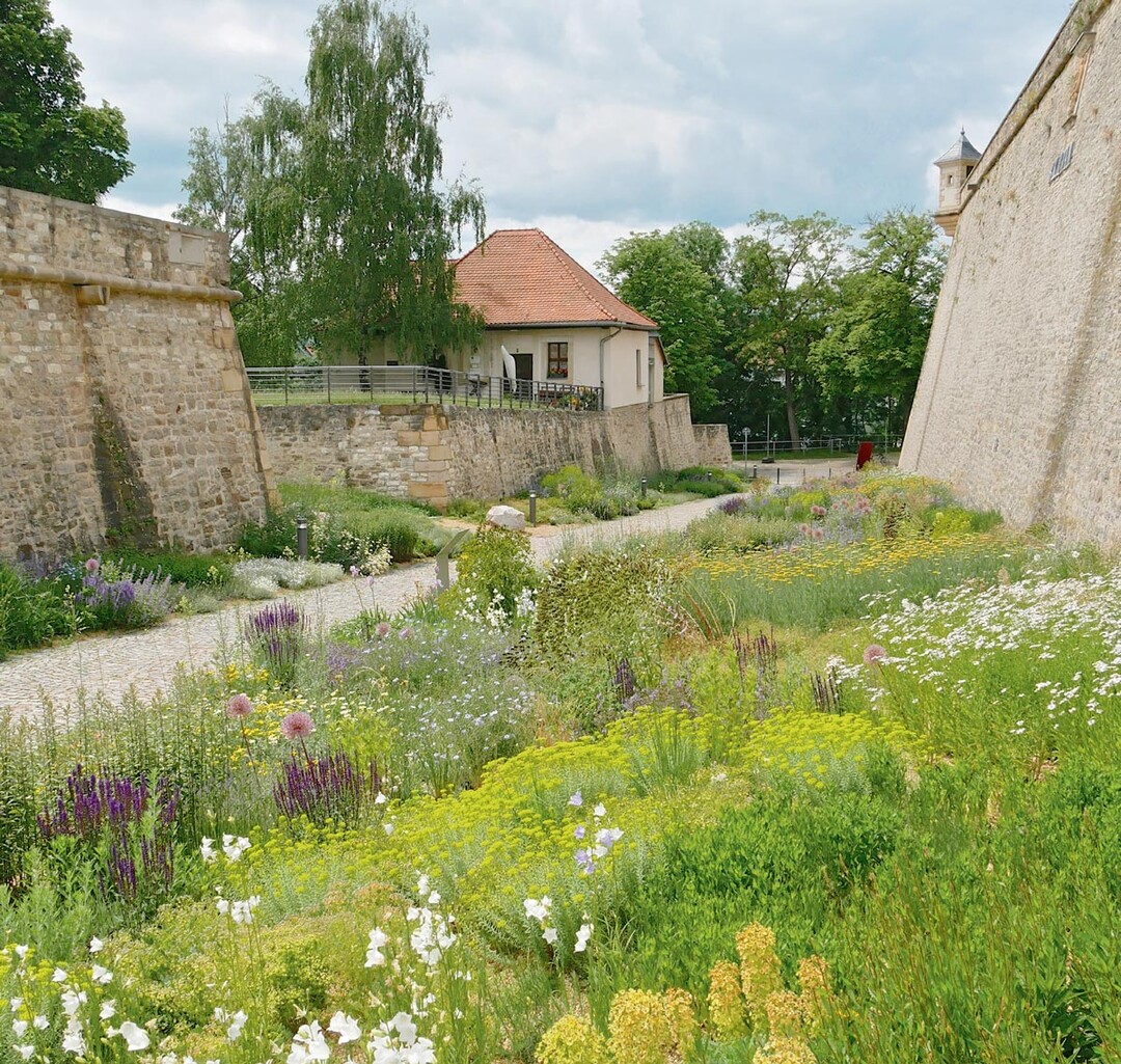 Die Zitadelle Petersberg gilt als eine der größten Stadtfestungen Mitteleuropas.