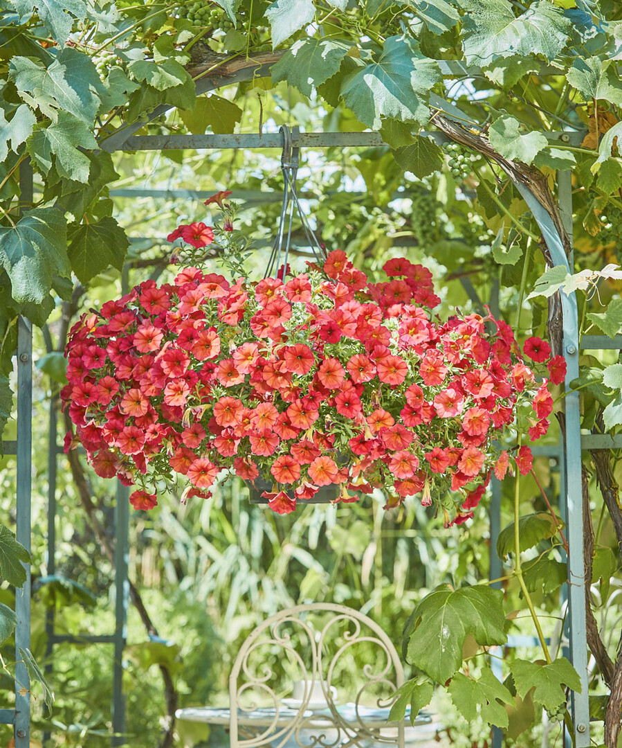 Frühlings-Gartenflagge Mit Rosa Petunien-Kranz – Doppelseitig, 30,5x45,7 Cm, Wetterfest Für Terrasse & Garten