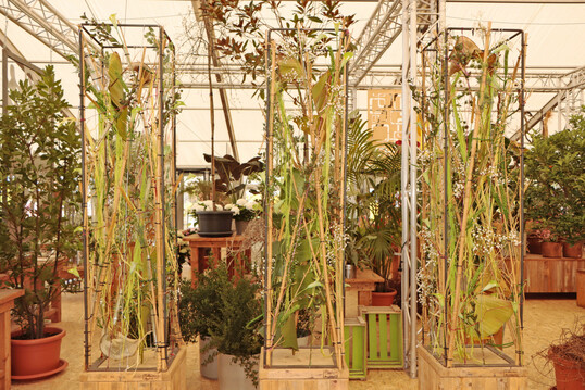 Die floristischen Beitr�ge sind im Zelt untergebracht.