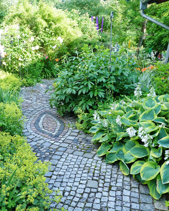Neben Bl�ten trumpfen viele Schattenpflanzen vor allem mit ihrem Laub auf. Da w�ren beispielsweise Funkien, die es in Cremewei�, Gelb, Blaugrau, mehrfarbig sowie interessant panaschiert gibt. Gerade die gro�bl�ttrigen Varianten sind ein beliebter Hingucker im Beet.