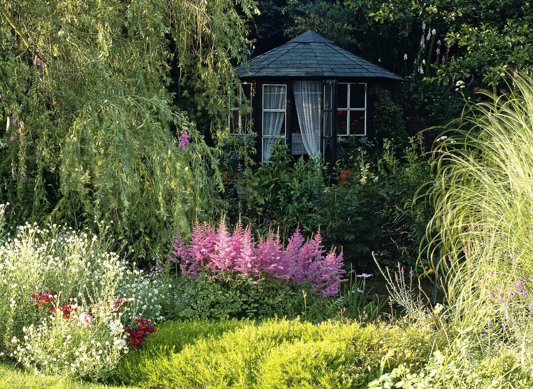Die Astilbe steht mit aufrechten Bl�tendolden im Garten, ihre Bl�ten sind fedrig und haben eine Farbpalette von reinwei� und pastellgelb �ber hellrosa bis hin zu violett. So erhellt diese Staude schattige Beete und holt hintere Gartenbereiche optisch nach vorn.