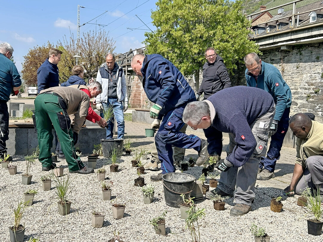 Praktischer Teil des Pflanzworkshops