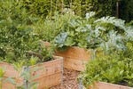 Hochbeete aus Palettenaufsatzrahmen