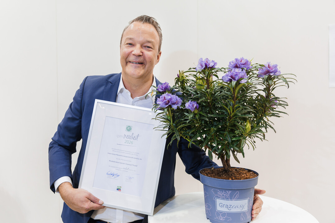 Sebastian Heinje (Diderk Heinje Pflanzenhandels GmbH) mit dem Rhododendron ‘Grazeasy® Purple’.