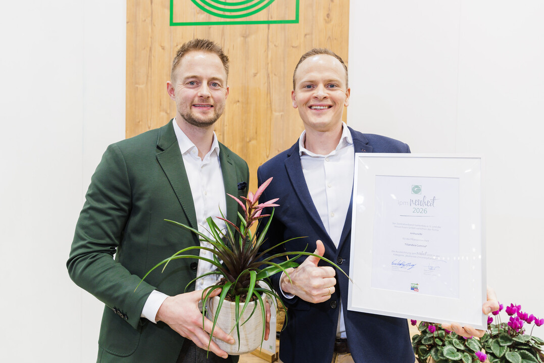 Erwin Koopstra und Johan van Vliet (Anthura BV) mit der Tillandsia Camina®.