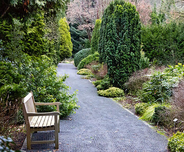 Der Blick in den neuen Teil des Arboretum Park Hrle: der sogenannte Gelbe Weg mit geschickter architektonischer Pflanzenverwendung