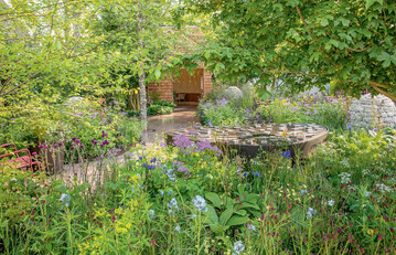 Centrepoint Garden