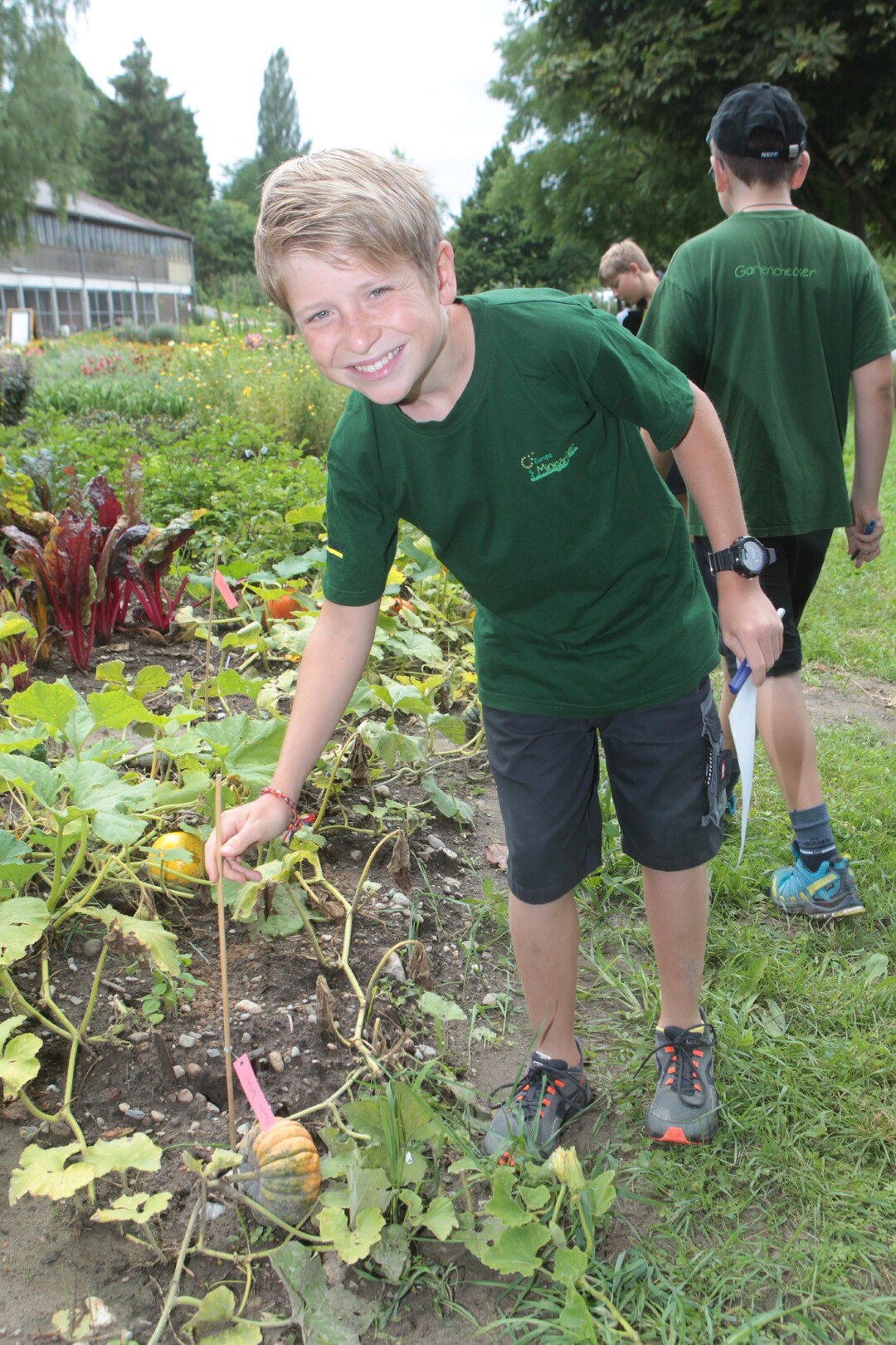 Minigrtner Jannis Lehmann aus Nrtingen erkundet die Mainau-Gemsebeete