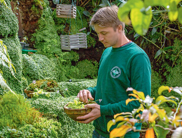 Von tropischen Pflanzen umgeben ist Patrick Bartsch als Gewchshausmeister den Botanischen Grten, Universitt Bonn.