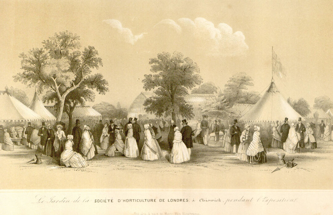 Fest der RHS in Chiswick (aus Flore des Serres 1848)