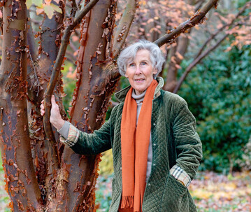 Linda Zimmermann