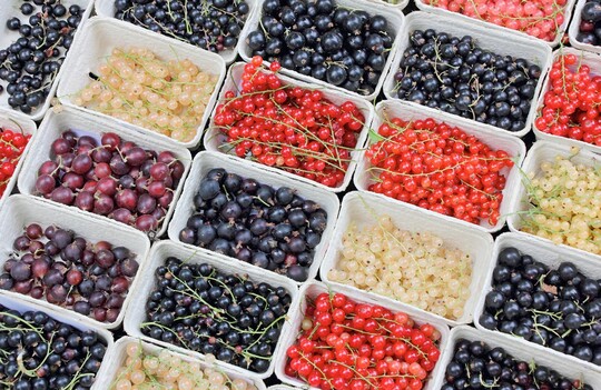 Bunte Johannisbeeren