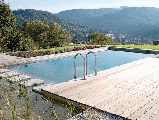 Auf die Trennmauer zwischen Pool und Filterbecken wurden Granitblcke gesetzt.