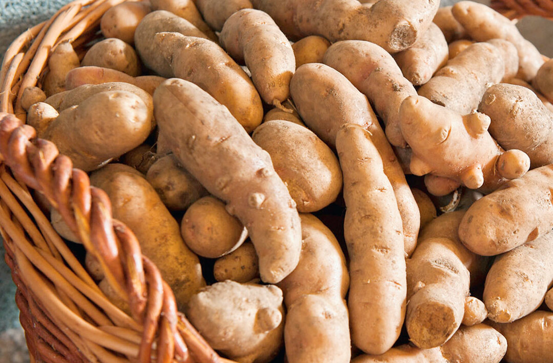 Kartoffeln Bamberger Hrnla