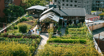 Blick von oben auf den üppigen Gemüsegarten auf dem Dach eines ehemaligen Autohauses mitten in Kopenhagen. Das Gewächshaus ist zudem ein beliebter Treffpunkt mit kleinem Restaurant mit Speisen aus eigenem Anbau.