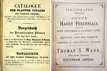 l.:Vielleicht der lteste Staudenkatalog: Baumann 1841 r.:Schon regelmig erschienen: Staudenkatalog von Thomas Ware 1878
