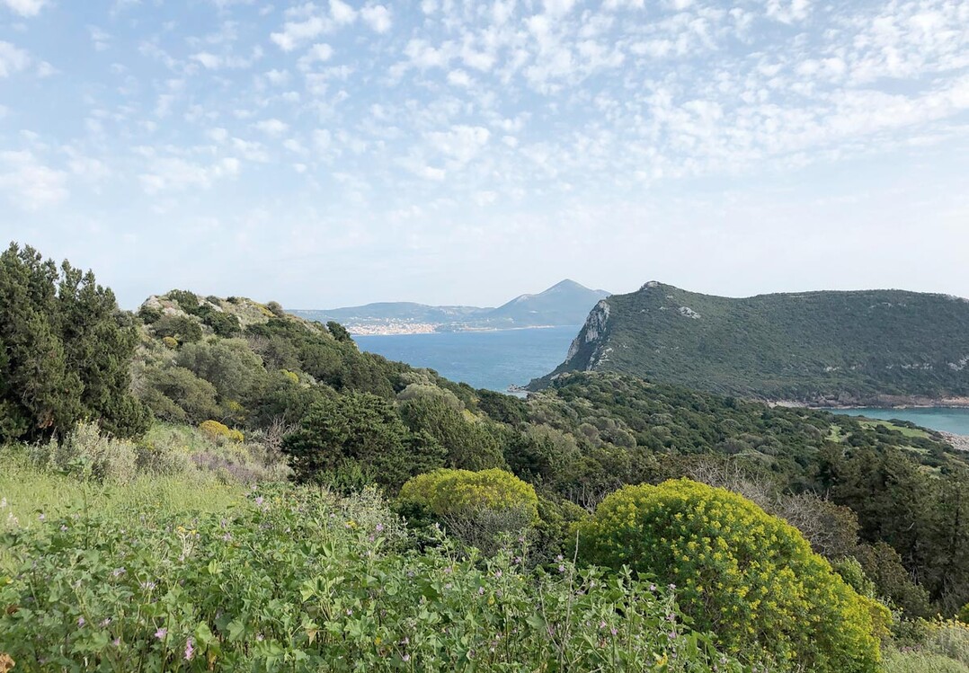 Typische Küstenlandschaft der Peloponnes (nördlich von Pylos)