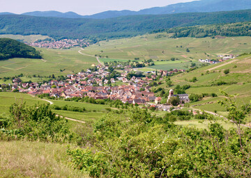 Blick vom botanisch reichen Strangenberg auf die Weinbaudrfer Westhalten und Orschwir im Oberelsass