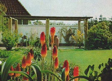 Wiepkings Garten in Osnabrck 
(grn, April 1971) 